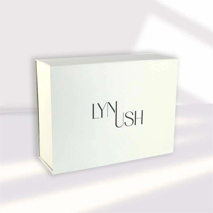 Magnetic Box and Paper Bag Set (4)